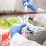 scientist working in the fume hood
