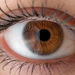 Human eye with reflection. Macro shot.