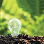 idea and energy concept Light bulb in soil