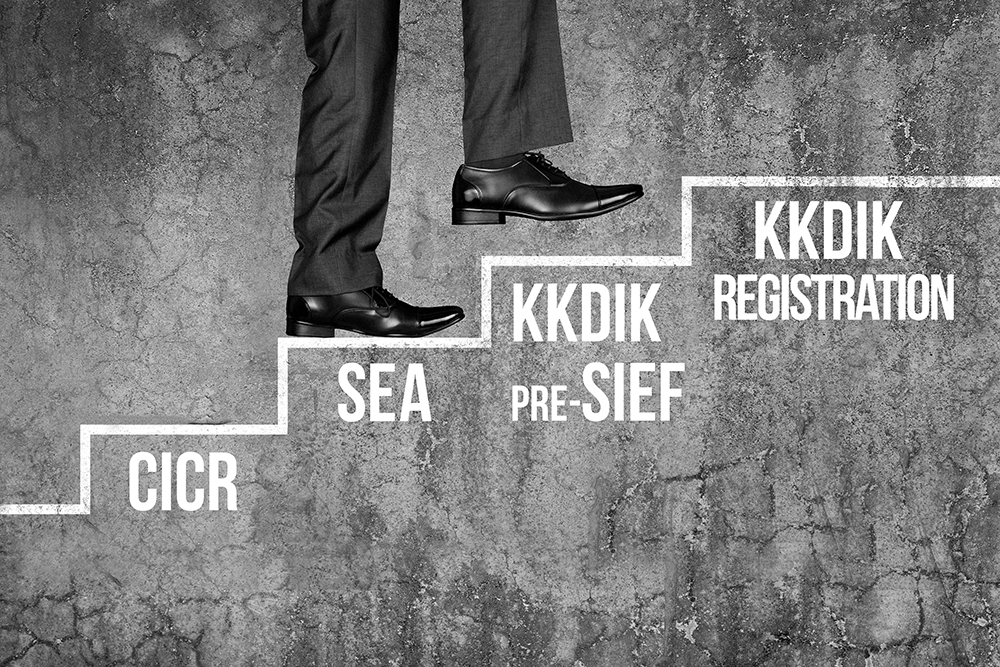 Ladder of success