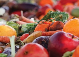 Scientia Fellowship allows Rona to show her true colours