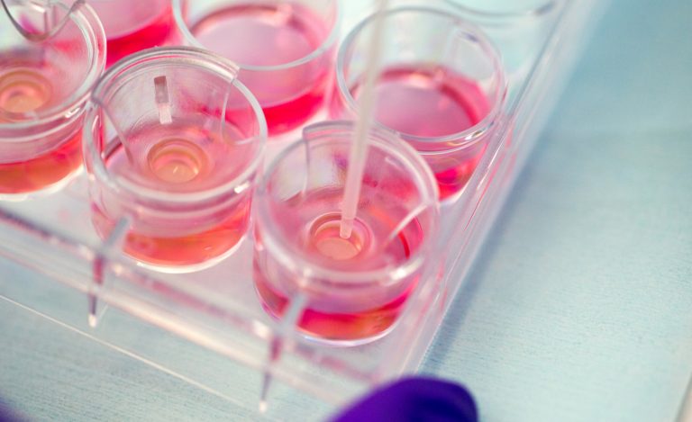 YOUR GUIDE TO IN VITRO SKIN CORROSION TESTING