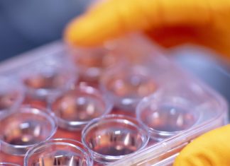 XCELLR8 AND SENZAGEN EXPAND COLLABORATION TO OFFER GARD®skin ANIMAL-PRODUCT-FREE