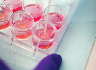 Your guide to in vitro skin corrosion testing