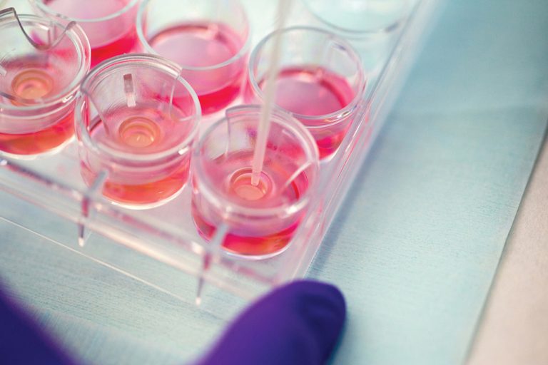 Your guide to in vitro skin corrosion testing