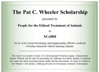 XCELLR8 WINS INAUGURAL PETA RESEARCH GRANT
