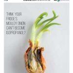 CIJ20-front-cover-web