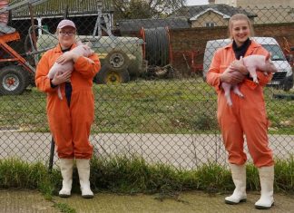 Brenntag and Writtle University College support animal health