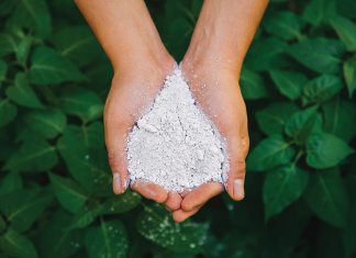 MAJOR INVESTMENTS AT TAN INTERNATIONAL