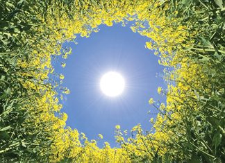 How public support today can accelerate the sustainable, bio-based supply chains of tomorrow