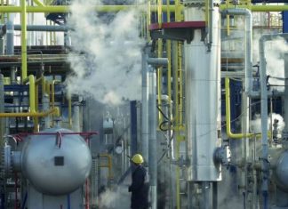 How Can We Increase Plant Productivity And Reduce Energy?