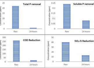 Alkaline Chemical Phosphorus Removal using Magmex
