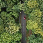 Grüner Wald mit rotem Auto senkrecht von oben – Luftaufnahme –
