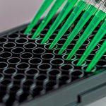 Adding green samples to a black 96 well plate using a multi-chan