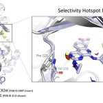 Selectivity Hotspot Map