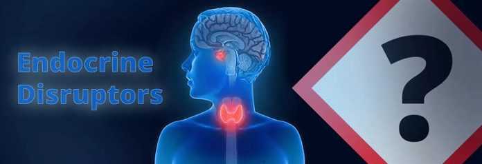 endocrine_disruptors