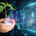 Agricultural technologies for growing plants and scientific research in the field of biology and chemistry of nature. Living green sprout in the hands of a farmer. Organic digital background