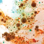 Microscopic closeup of bacteria and microbes