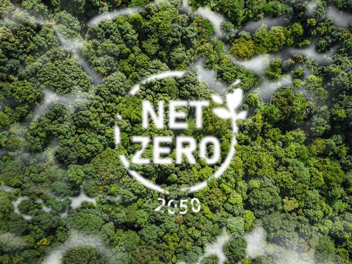 Net Zero 2050