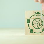 Growing sustainability. LCA-Life cycle assessment concept. Asses