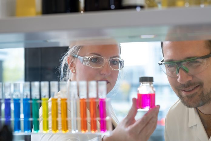 brenntagessenazzatodsc8969be