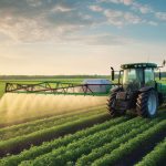 Spraying pesticide with tractor ar agriculture field.