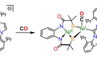 Breakthrough replicates enzyme that captures carbon