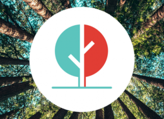 Cleanroomshop Celebrates National Forest Week 2024 with New Tree Planting Initiative