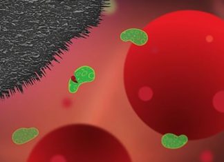 Graphene spike mat and fridge magnets lead bacteria fightback