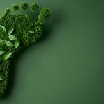 carbon  footprint green leaves eco-friendly living sustainable l