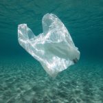 Plastic waste underwater plastic bag