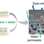 membranes