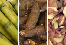 A Tuneable Sugar-Based Polymer for a Circular Future