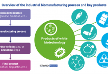 White biotechnology is being shaped by regulation and tech