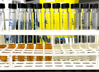Breadcrumbs could offer fossil-free production of everyday goods