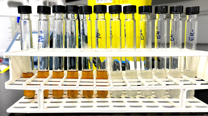 Bio-hydrogenation vials2. Credit- Mirren White, SBS, University of Edinburgh