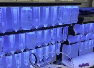 Chemically ‘stapled’ peptides used to target difficult-to-treat cancers