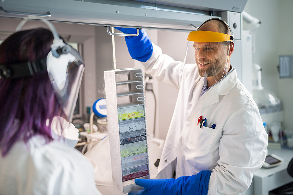 Are animal models limiting progress in product development?
